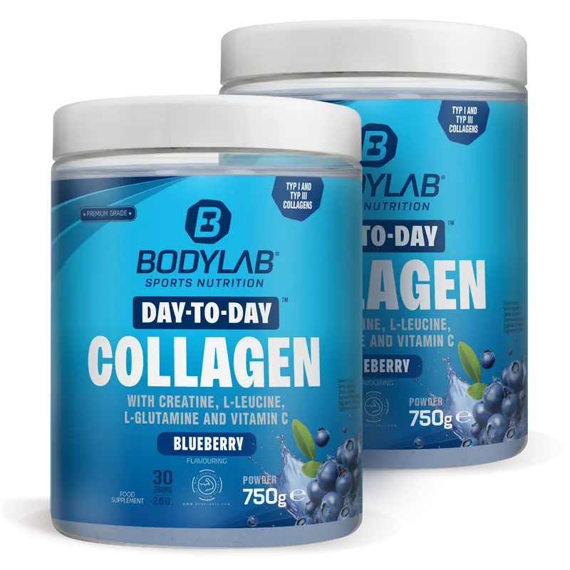 2 x Day to Day Collagen (2 x 750g)