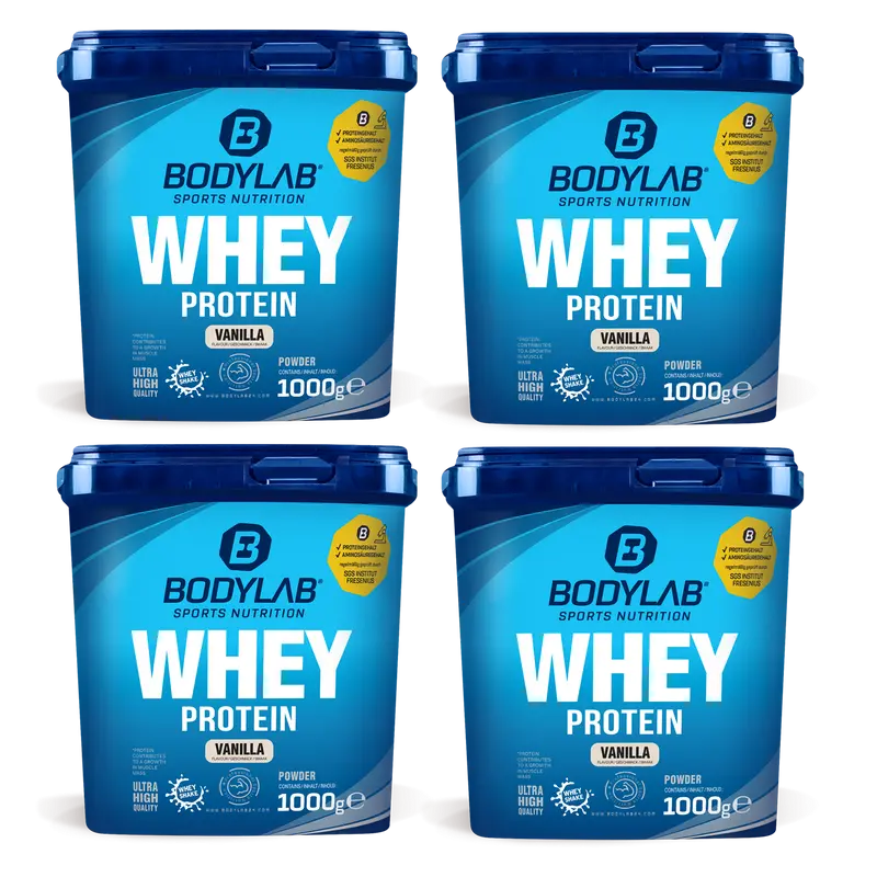 4x Whey Protein (4x1000g)