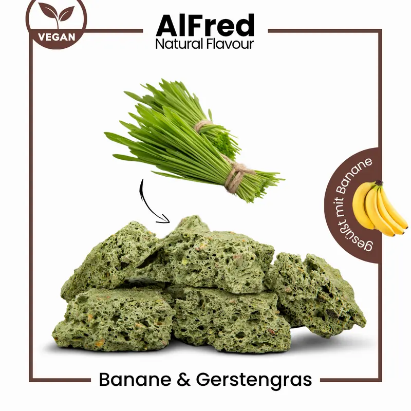 Banane & Gerstengras