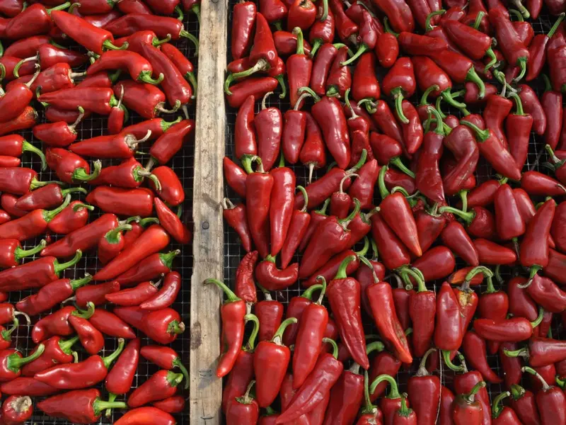 Baskischer Chili