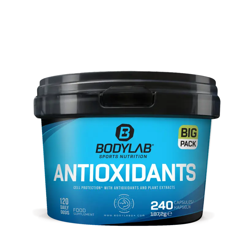 BIG Pack Antioxidants (240 Kapseln)
