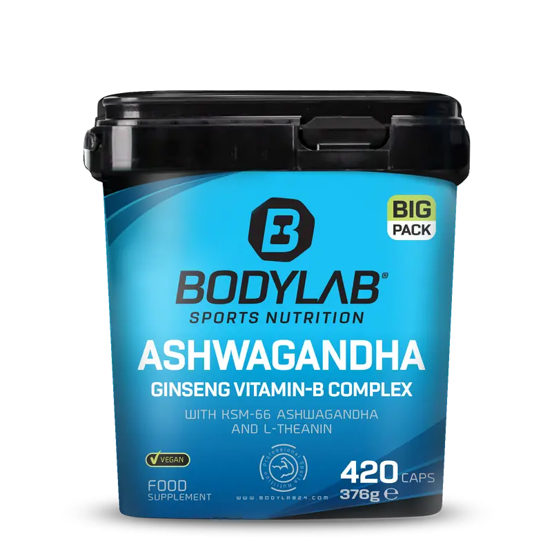 BIG PACK Ashwagandha Ginseng Vitamin-B Complex (420 Kapseln)