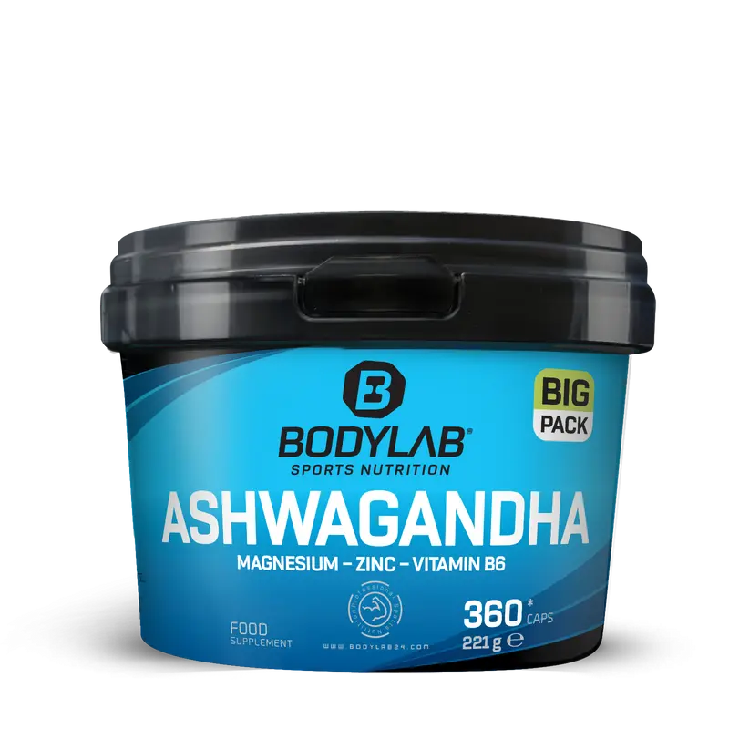 BIG PACK Ashwagandha + Magnesium - Zinc - Vitamin B6 (360 Kapseln)