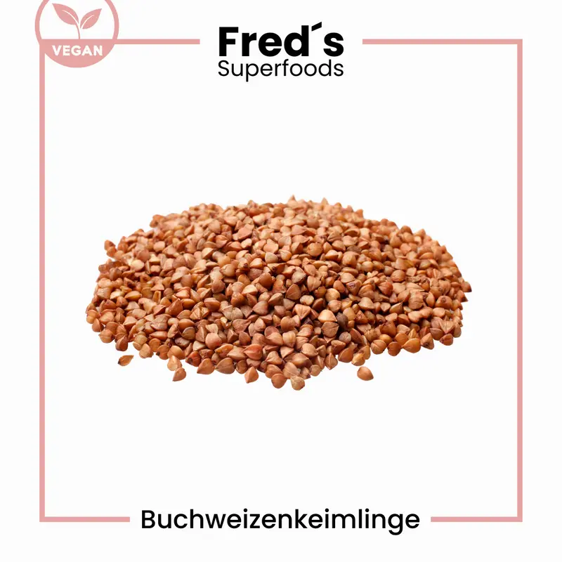 Buchweizenkeimlinge