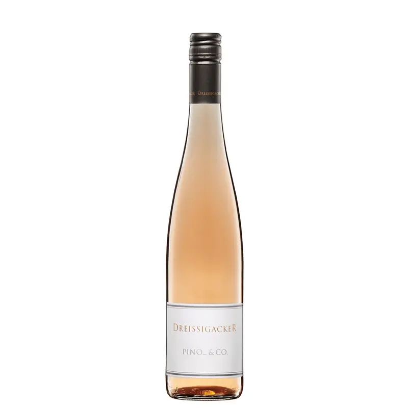 Dreissigacker »Pinot Noir« Rosé