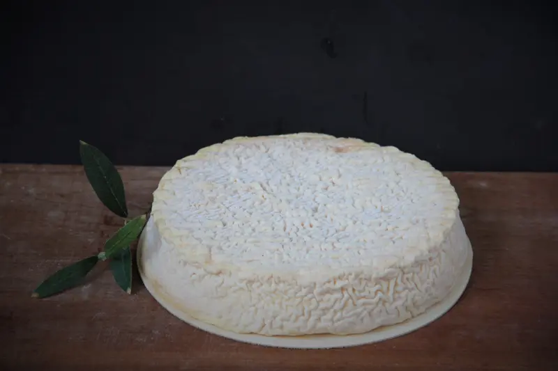 Epoisses AOP