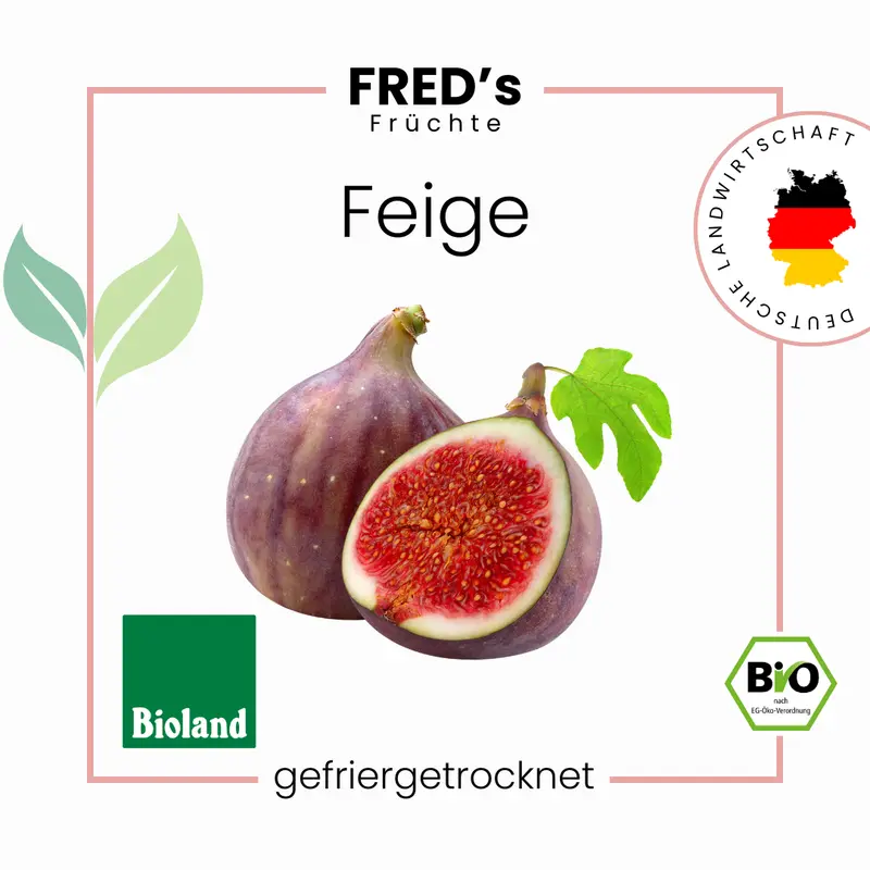 Gefriergetrocknete Bio Feigen