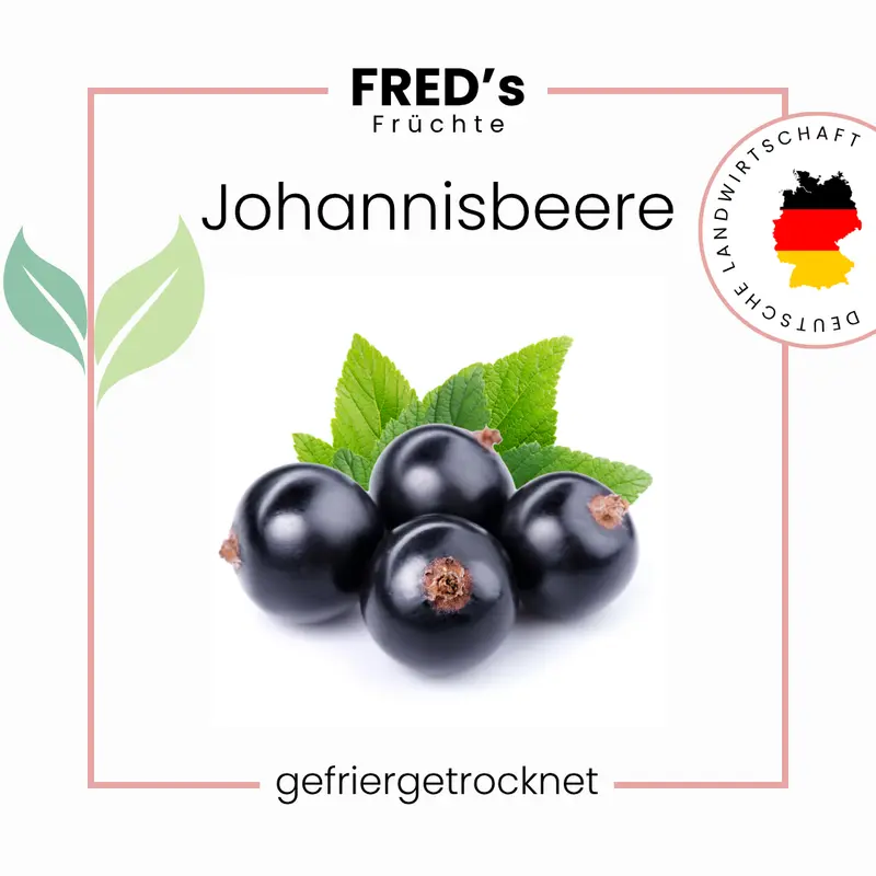 Gefriergetrocknete schwarze Johannisbeeren