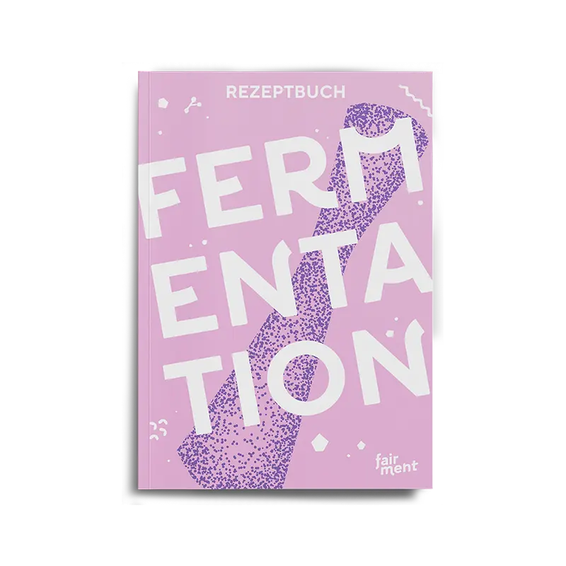 Gemüsefermentation Rezeptbuch