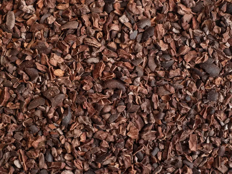 Kakaobohnen-Nibs