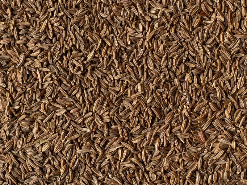 Kümmel