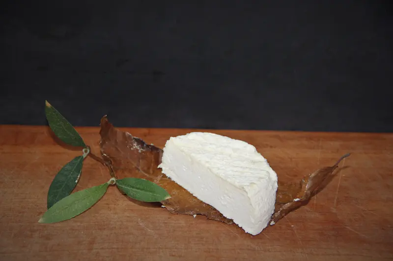 Mothais sur Feuille