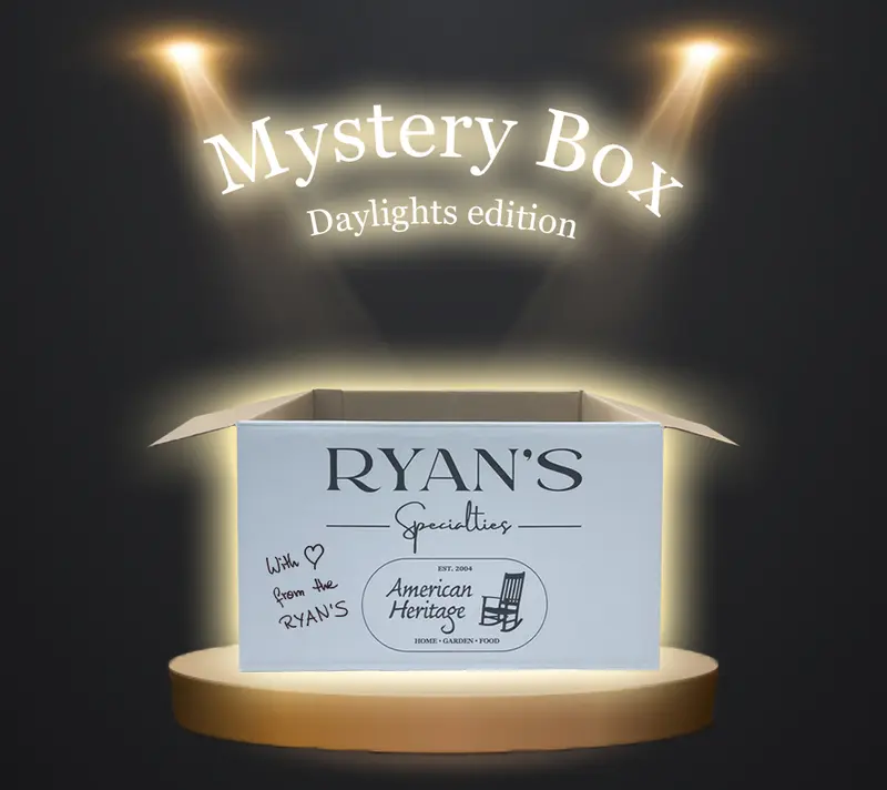 Mystery Box S Daylight Set