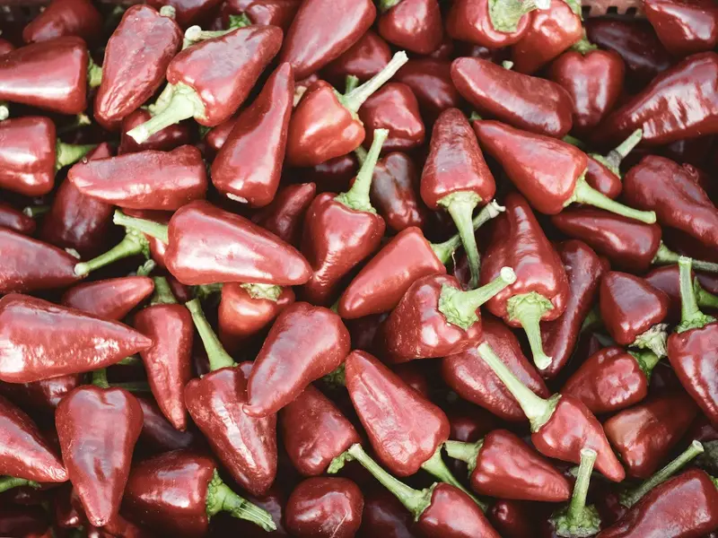 Paprika Cirereta (scharf)