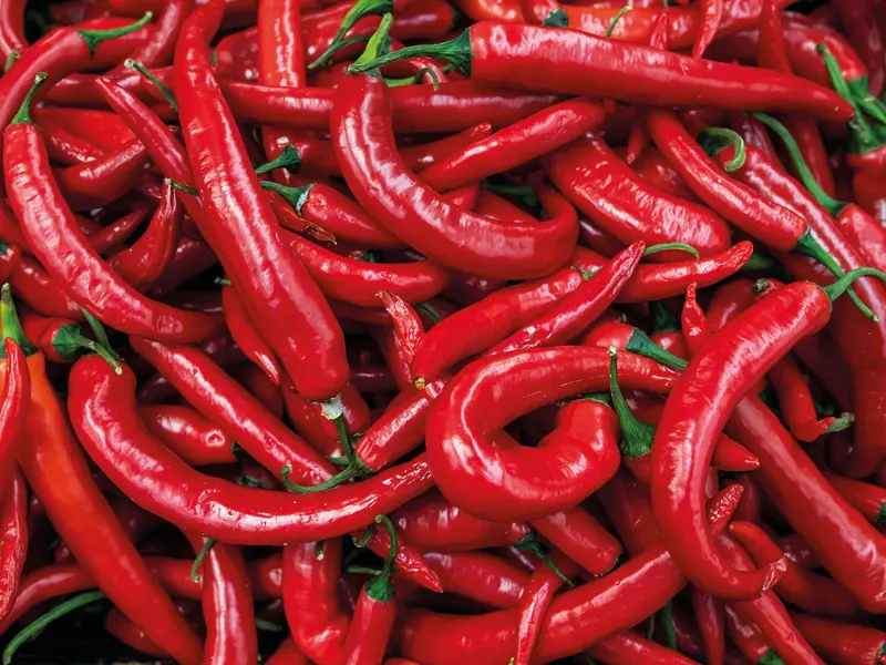 Red Devil Chili