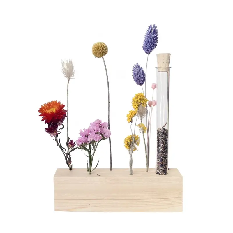 Trockenblumen Ständer inkl. Blumensamen in der Röhre