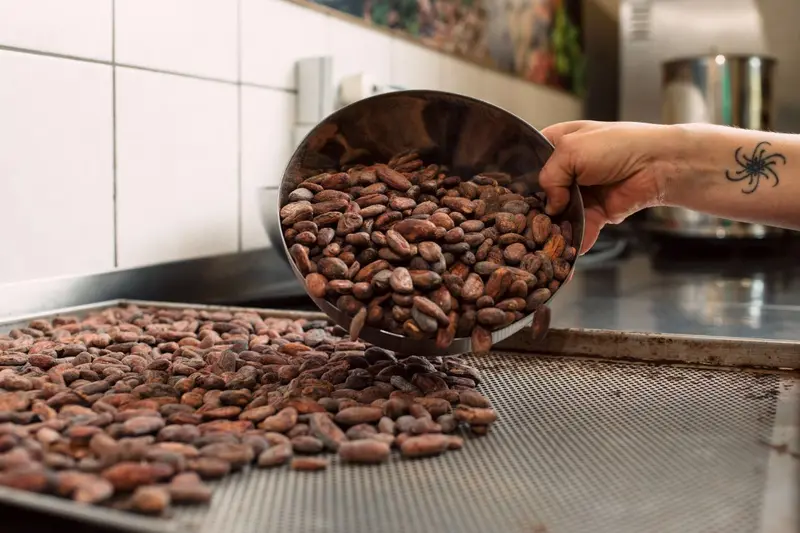 Weltreise Kakao - Schokoladen-Tasting mit Choco del Sol