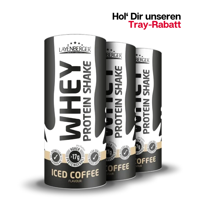 WHEY PROTEIN SHAKE Iced Coffee 3er Karton