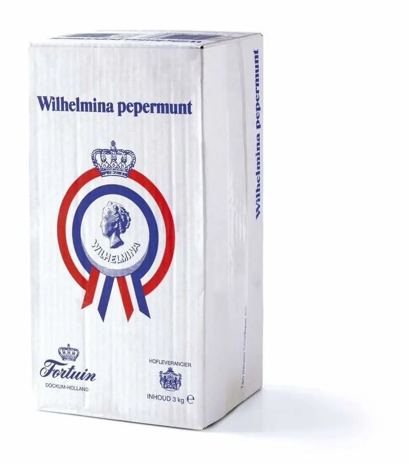 Wilhelmina Pepermunt Pastillen 3000g Karton (Pfefferminz)